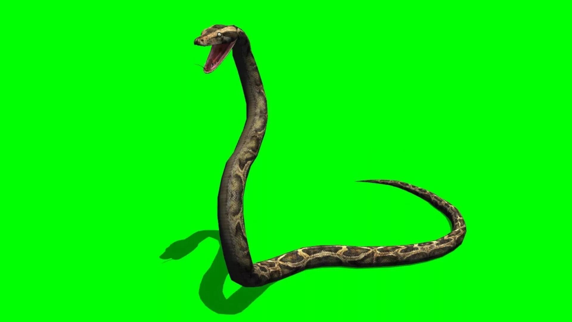 Ген змеи. Snake сrawl рисунок для детей. See a snake crawling down natural wonder. Snake crawling. Snake crawling.