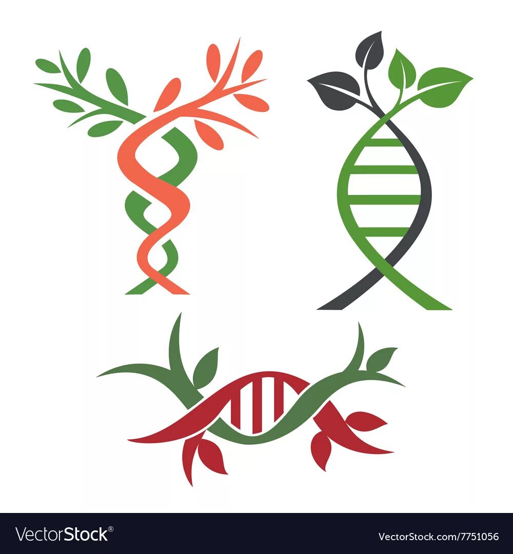 Символы генетики 10 класс. Генетика вектор. Символы генетики. ДНК вектор. Знак ДНК вектор.