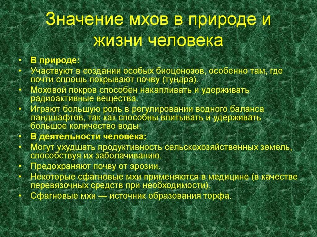 Каково значение мхов в природе 7 класс. Значение мхов в природе и жизни человека. Значение мхов в природе. Роль мхов в природе и жизни человека. Значение мхов в природе и для человека.