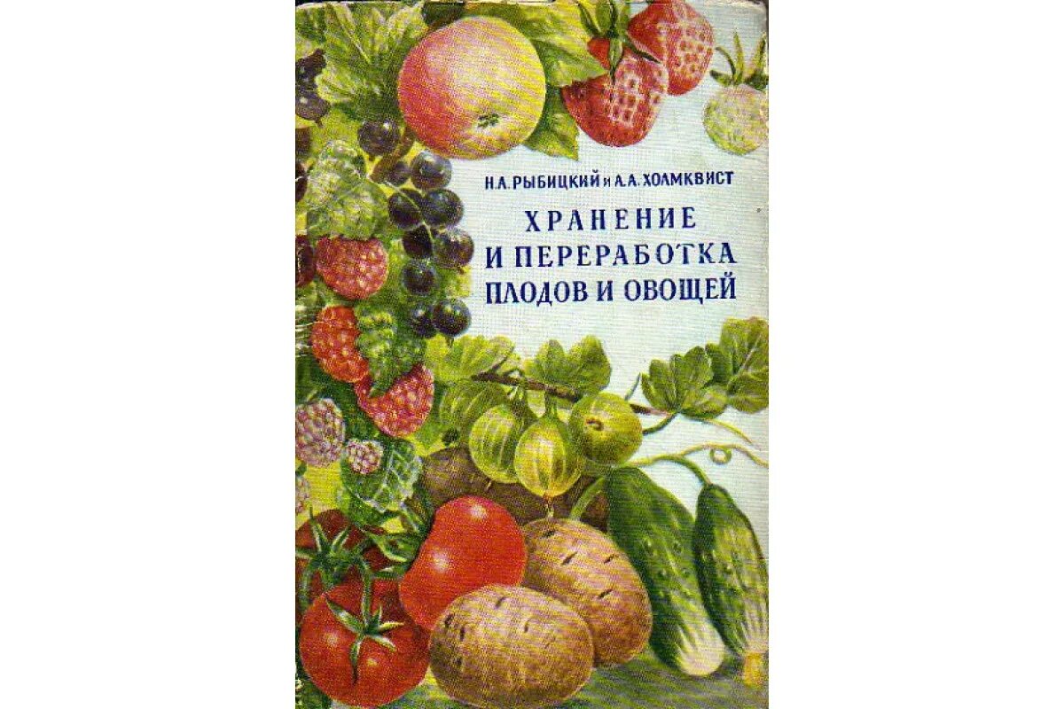 Лежкость овощей и плодов. Переработка плодов и овощей. Хранение и переработка плодов и овощей. Хранение Переработанных плодов и овощей. Комплексное использование плодов и овощей