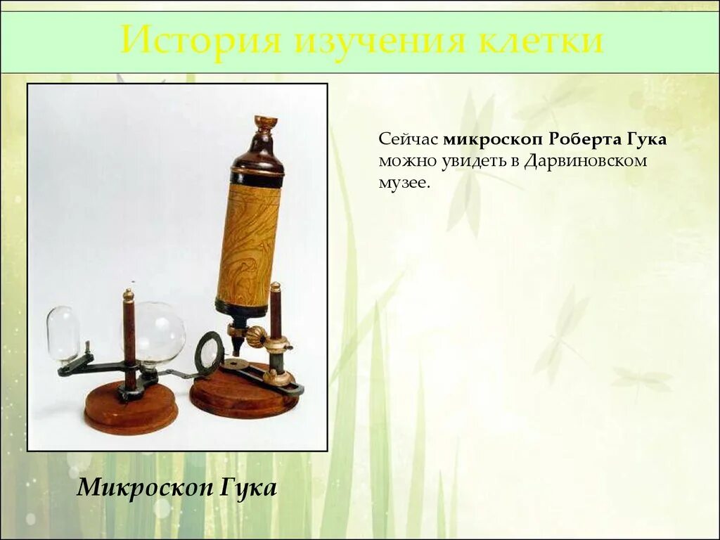 История открытия клетки презентация. История открытия клетки презентация. История открытия и изучения клетки. Камилло гольджи ученый. Микроскоп гука.