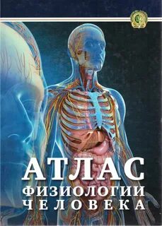 Физиология человека