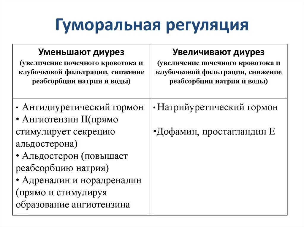 Как происходит регуляция работы почек гуморальным путем. Регуляция мочеобразования нервная и гуморальная таблица. Регуляция мочевыделения нервно гуморальная. Регуляция диуреза. Схема гуморальной регуляции диуреза.