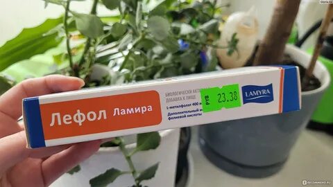 Лефол ламира