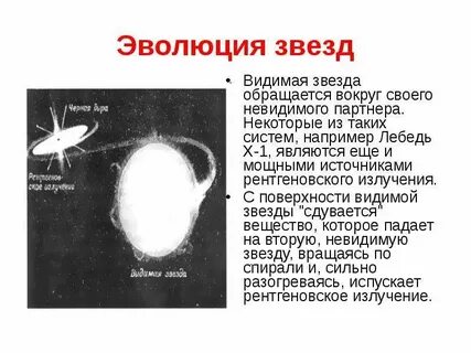 Какой меня видит звезда