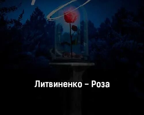 Я встретил розу она текст. Похороны розы Литвиненко.