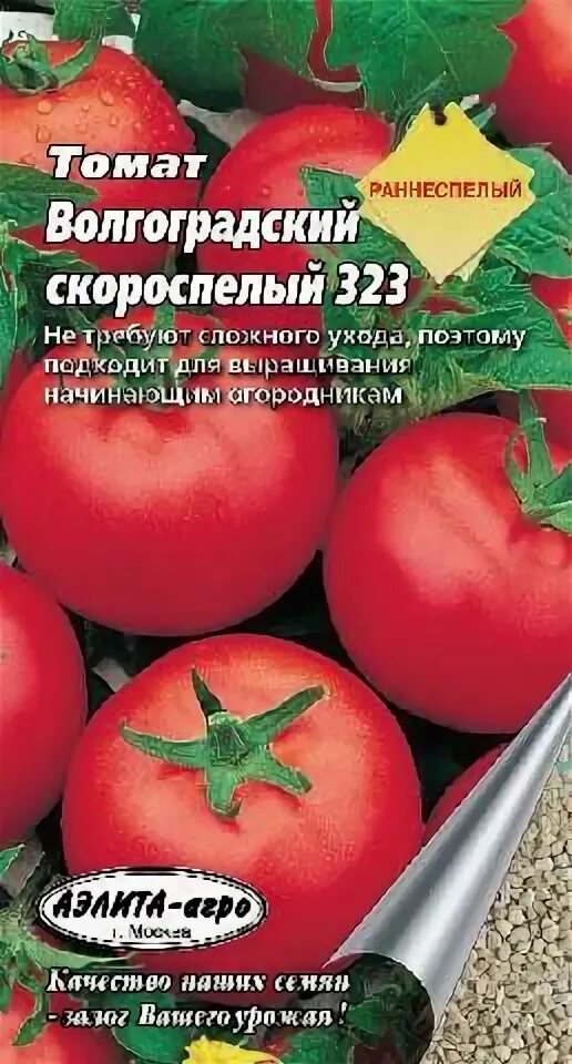 Томат Волгоградский скороспелый 323. Томат Волгоградский скороспелый. Томат сорт Волгоградский скороспелый. Волгоградский скороспелый томат 323 характеристика и описание