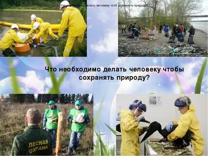 Как вы помогаете окружающей среде