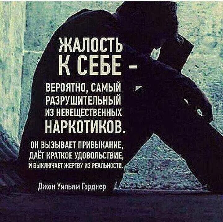 Почему лошади вызвали чувство жалости у автора. Цитаты про жалость к человеку. чувство жалости к себе. жалость к себе цитаты. высказывания о жалости к себе.