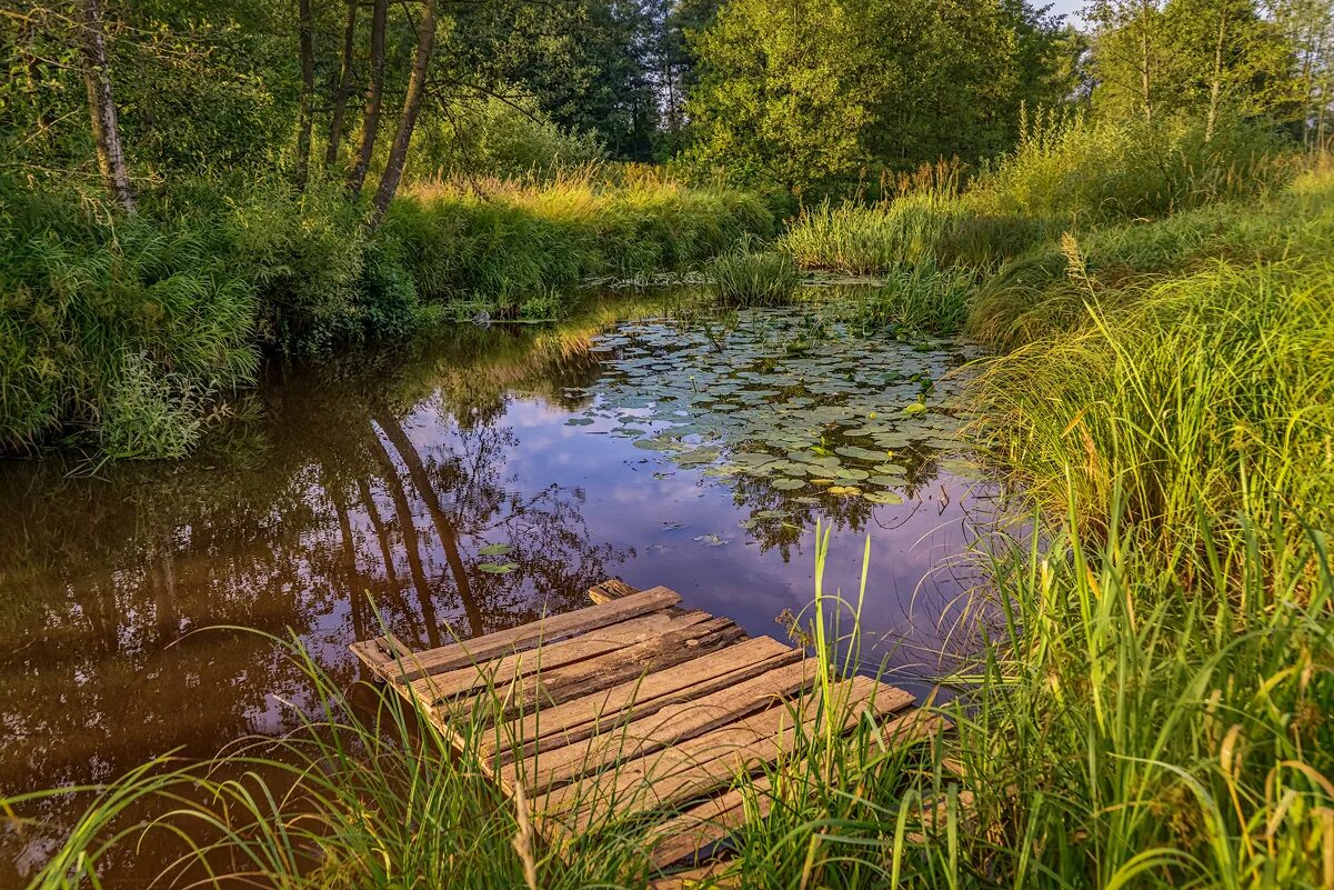река кайбулка чебоксары. деревянный мост.