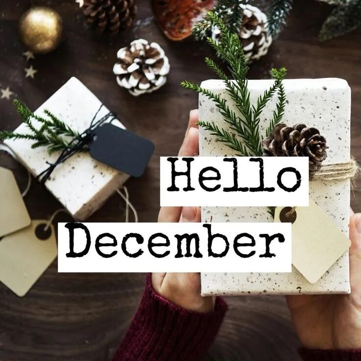 December first. Привет декабрь. Hello December. Hello декабрь.