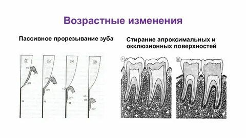 Пассивное изменение