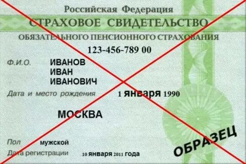 Почему просят снилс