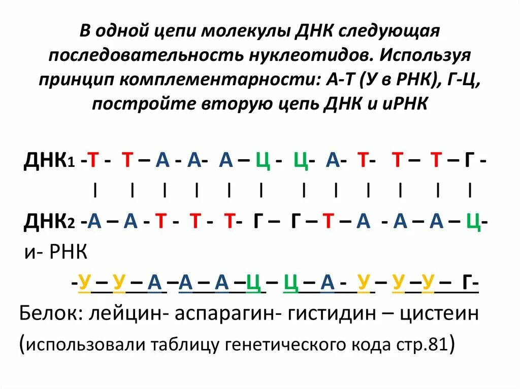 Короткие цепи днк. Принцип комплементарности нуклеотидов. Комплементарность цепей ДНК. Последовательность цепи ДНК. Комплементарность ДНК И РНК.