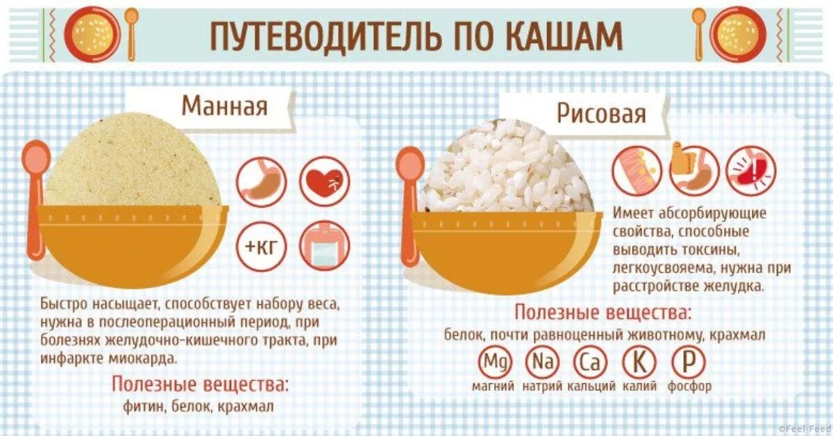 Сколько надо манной крупы. Путеводитель по кашам. Каша в детском саду. Каша инфографика. Путеводитель по кашам в картинках.