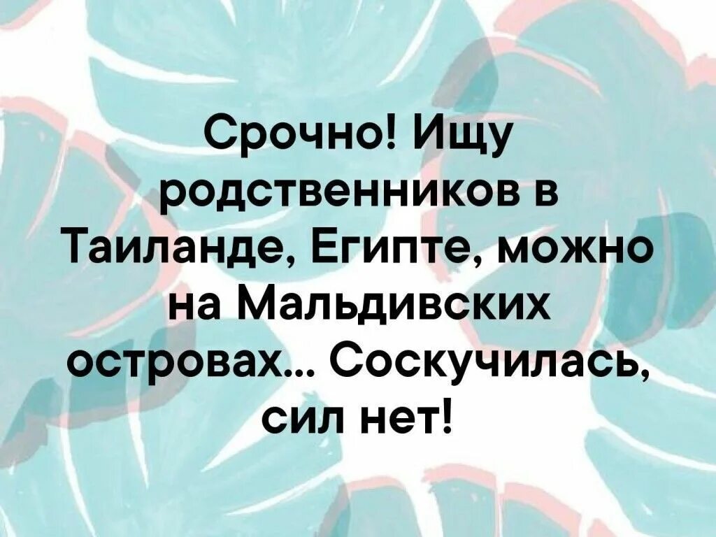 Найду родственников. Срочно ищу родственников в Тайланде. Срочно ищу родственников. Ищу родственников на Мальдивах соскучилась. Ищу родственников в Тайланде.