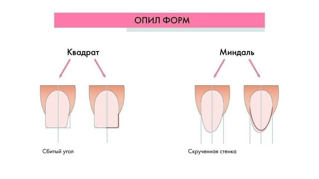 Длина миндаля. Схема опила формы ногтей овал. Схема опила формы ногтей квадрат. Миндальная форма ногтей схема опила. Опил формы квадрат схема.