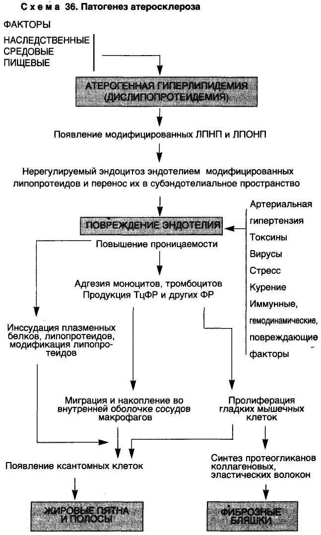 Принцип лечения атеросклероза. Механизмы развития атеросклероза патфиз. механизм развития атеросклероза схема. перекисная теория атеросклероза патогенез. патогенез атеросклероза схема.