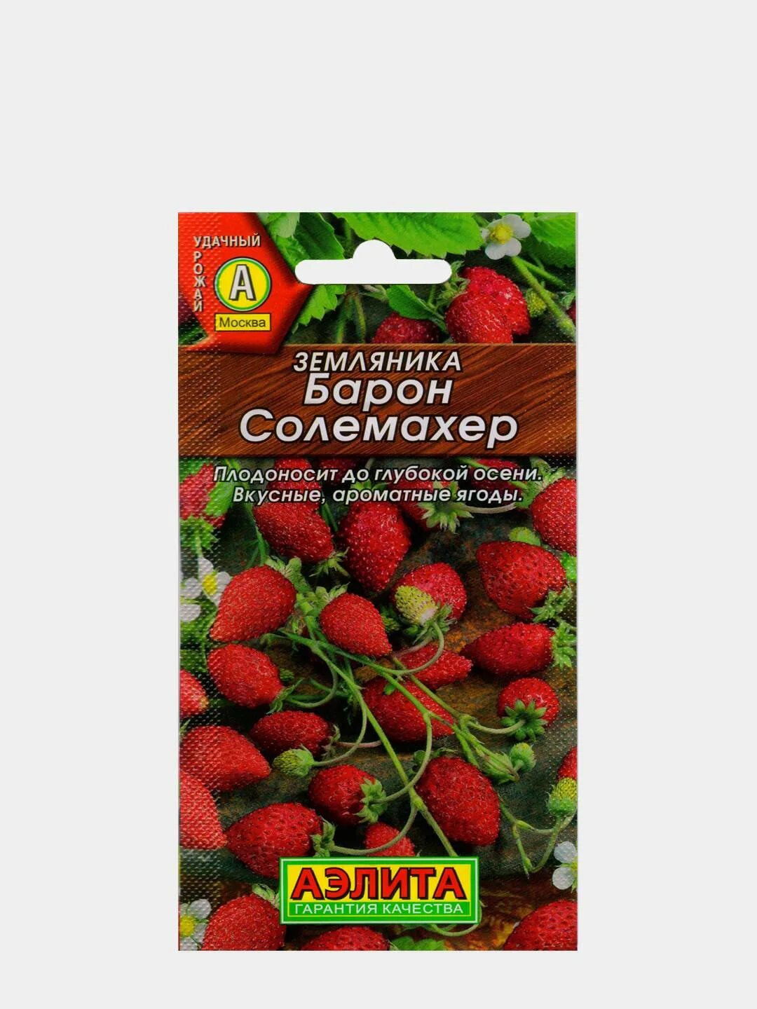али баба земляника ремонтантная. сорт земляники барон солемахер. семена земляника ремонтантная барон солемахер. сорт земляники барон солемахер. земляника солемахер описание сорта.