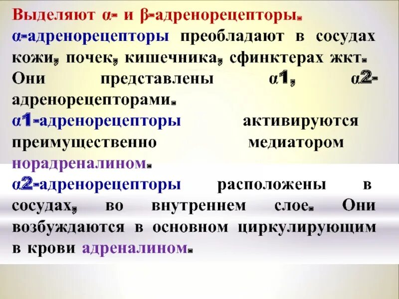 Эффекты альфа адренорецепторов. Адренорецепторы сосудов. Α1- и α2-адренорецепторы. Адренорецепторы в кишечнике. Адренорецепторы почек.