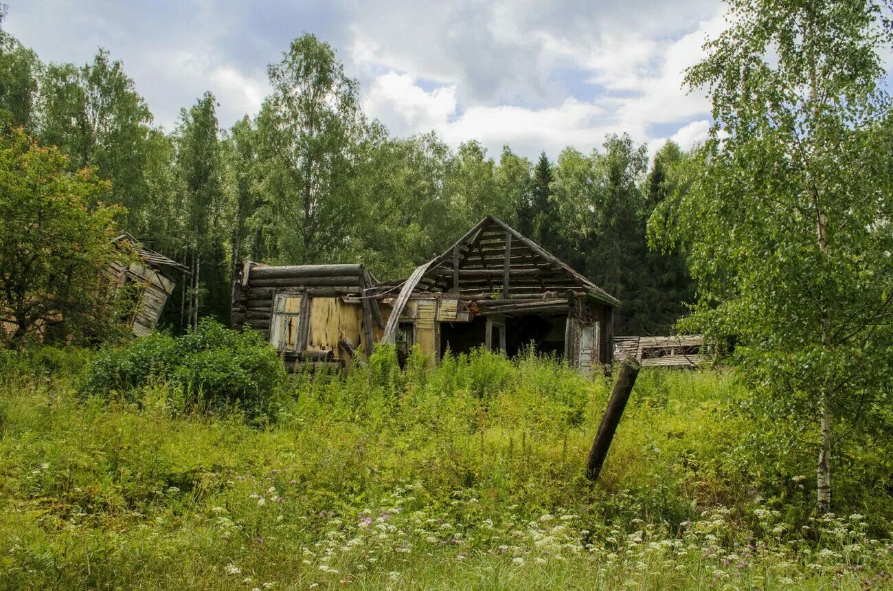 Растесс деревня Свердловская. Исчезнувшая деревня Растесс. Поселок Растесс. Заброшенная деревня Растесс. Позабыт заброшен