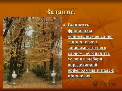 Причастие к слову лес