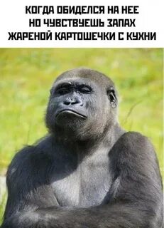 Страницу там