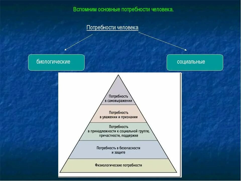 Базовые потребности человека примеры. Главные потребности человека. Основные базовые потребности человека. 4 Базовые потребности человека. Базовые социальные потребности человека.