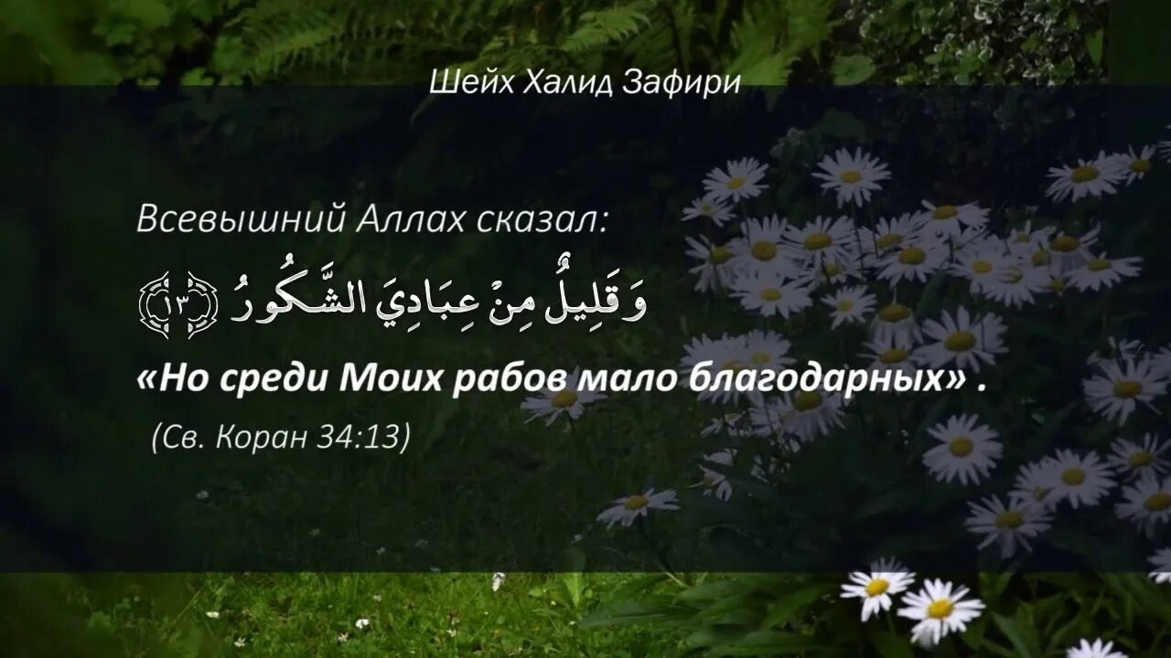 Благодарность в Коране. Слова благодарности Всевышнему Аллаху. Сура благодарность Аллаху. Слова благодарности Аллаху за все. Как быть истинно благодарным