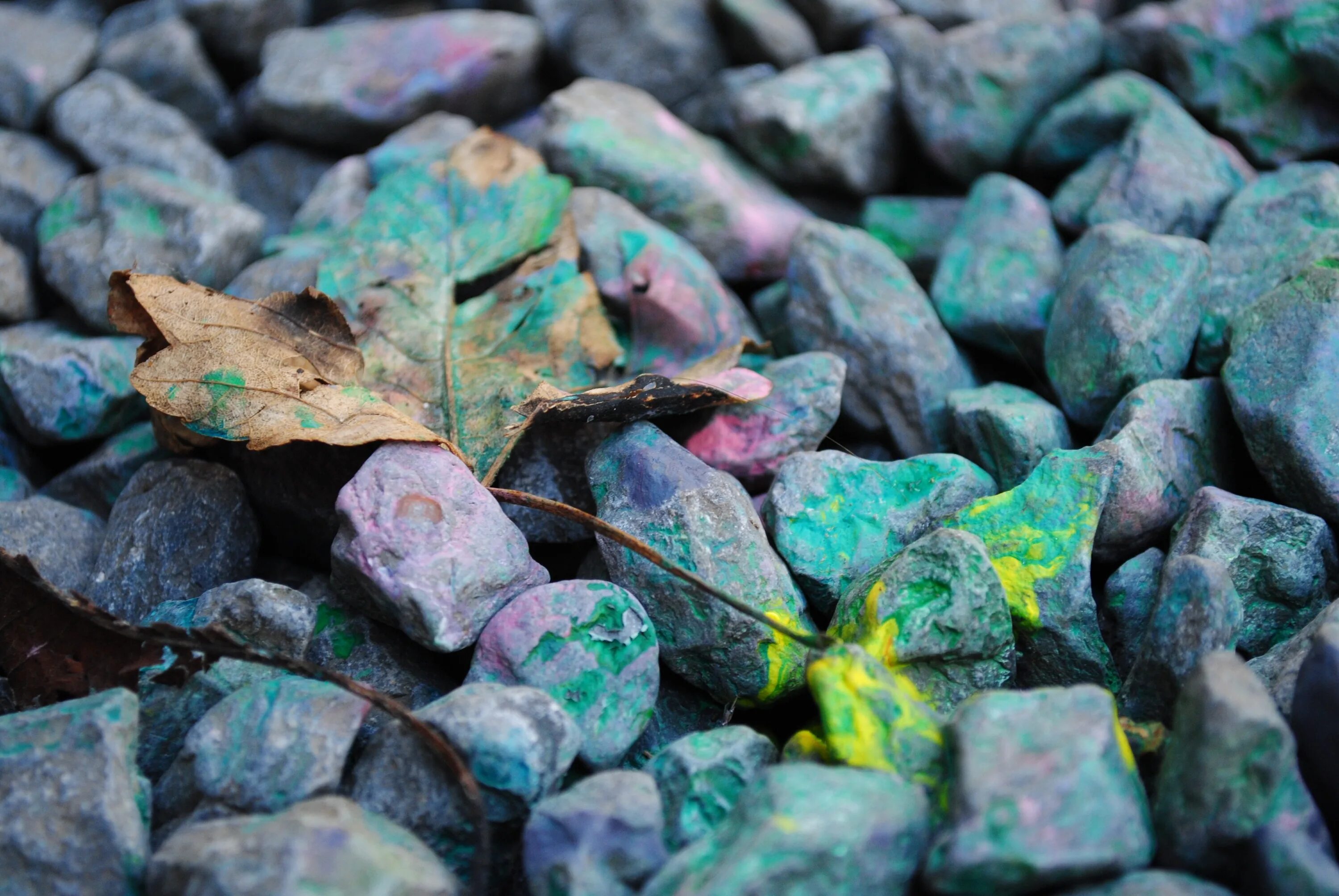 Leaf stone. Листья на камнях. Сине зеленый камень. Камень булыжник. Натуральные камни в листве.