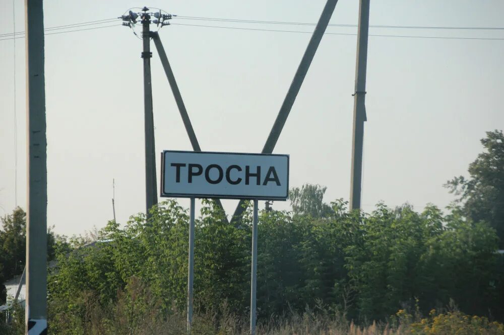 Погода в тросне на неделю орловская. Поселок Тросна Брянской области. Тросна Брянская область Жуковский район. Поселок Тросна Жуковского района Брянской области. Тросна Орловская область.