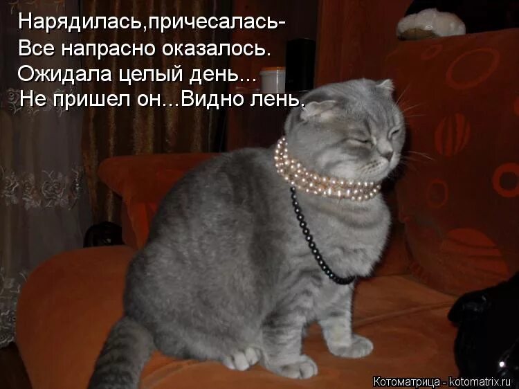 Оказались тщетны