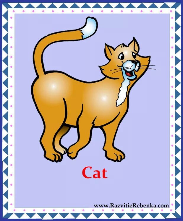 Cat произношение. карточки с английскими словами cat. Cat произношение. британский короткошерстный кот серый. карточка cat.