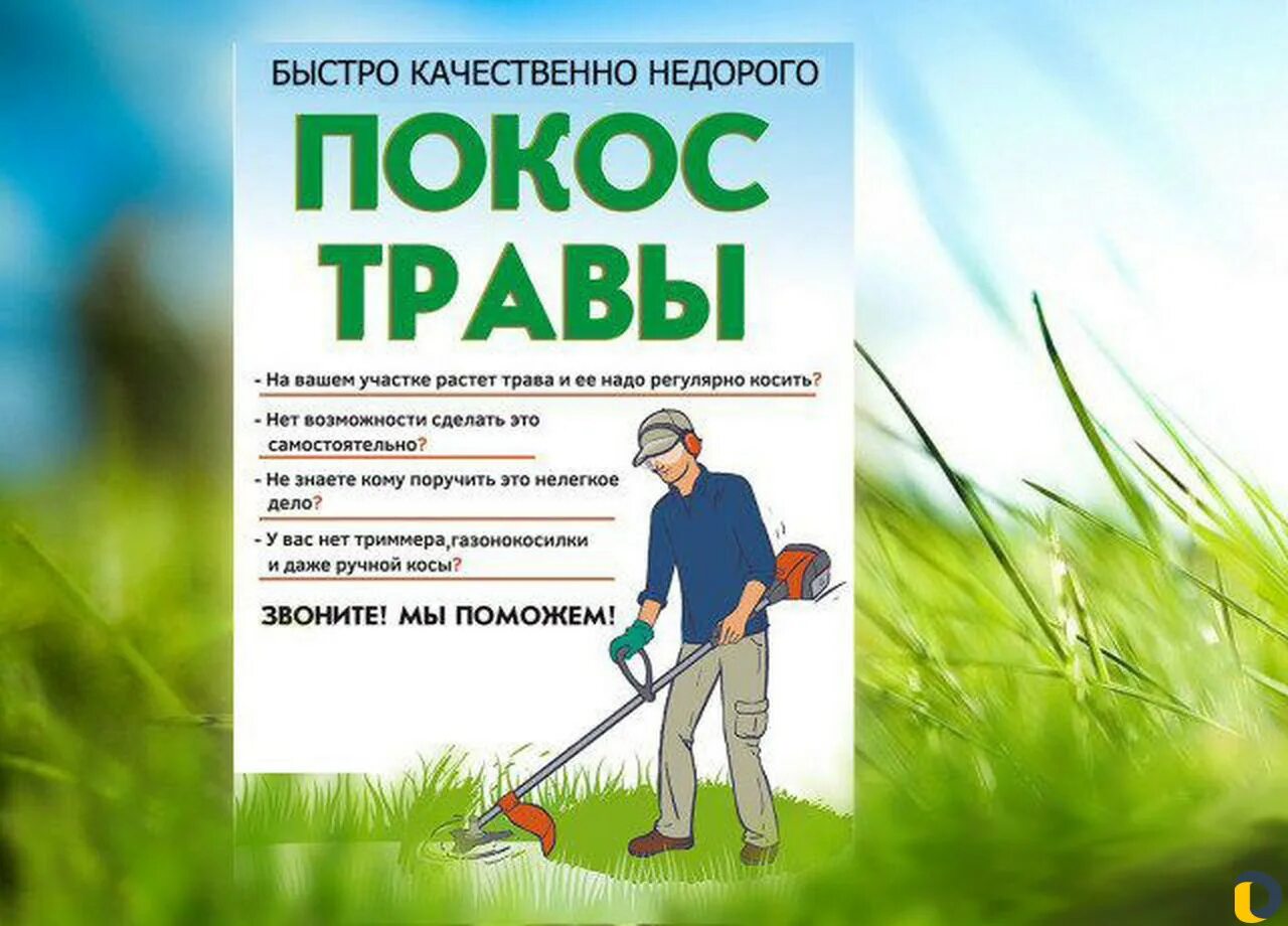 Покос травы расчистка участка. Скос травы реклама. Скошенная трава на участке. Покос травы. Объявления косить траву.