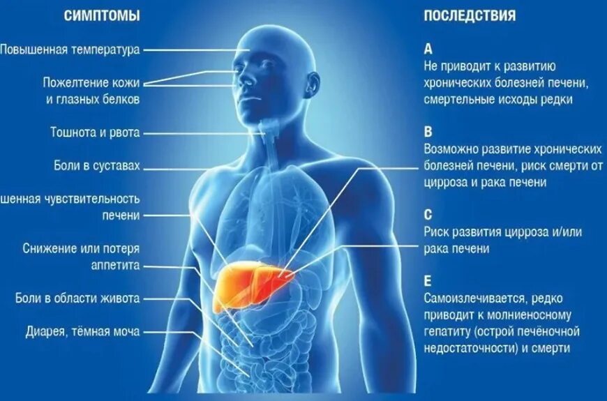 Увеличенная печень и температура. Гепатит с буклет. Буклет профилактика гепатита в. Гепатит б буклет. Вирусные гепатиты буклет.