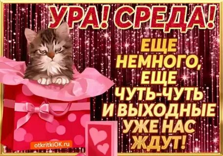 Той средой в которой
