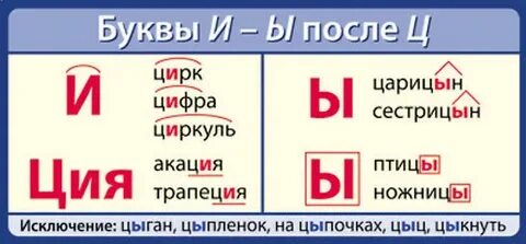 Слова с буквой цы