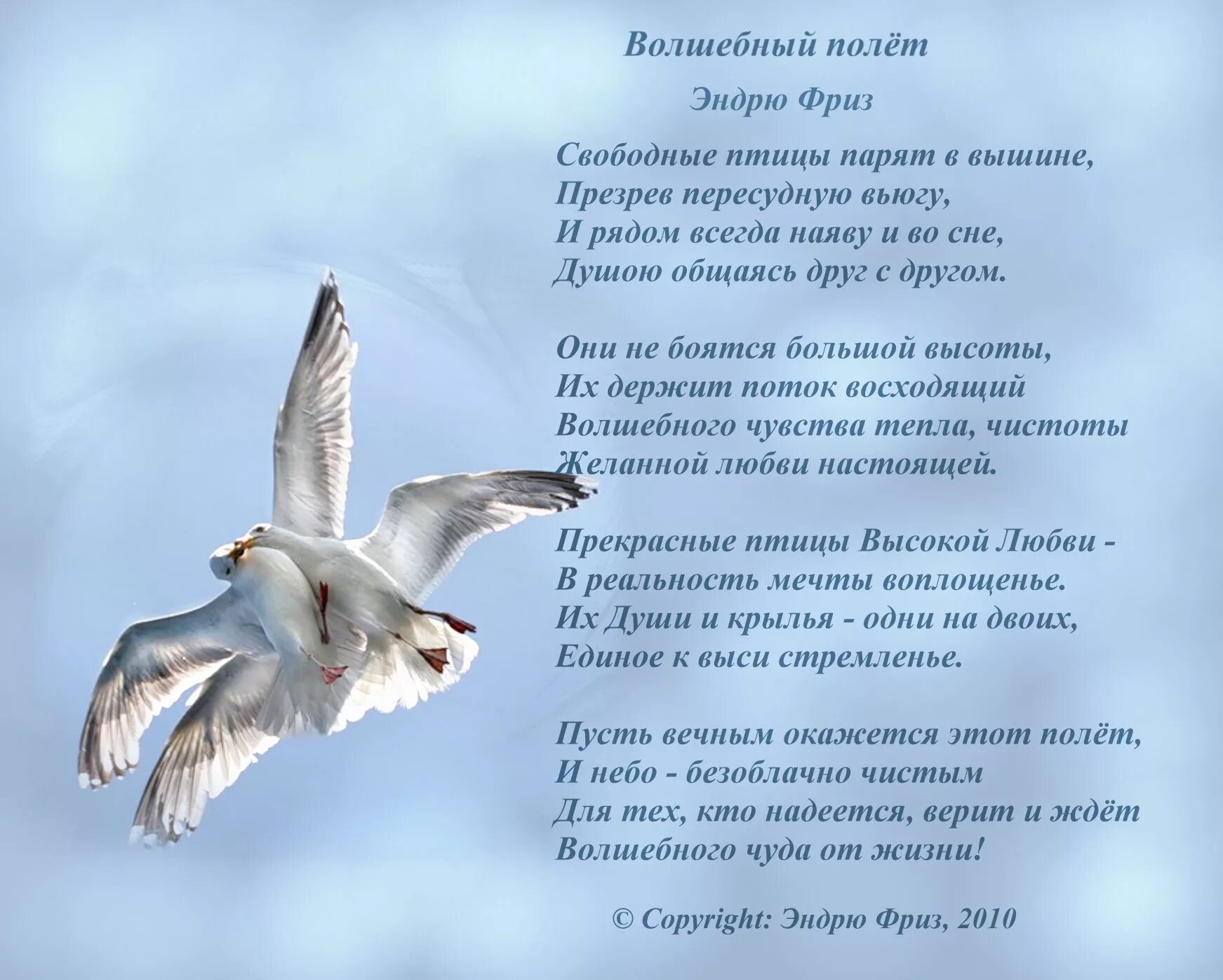 Песня как жаль птицей в небо. Стихи. Стихи про полёт. Стихи о полете души. Стихи о полете и птицах.