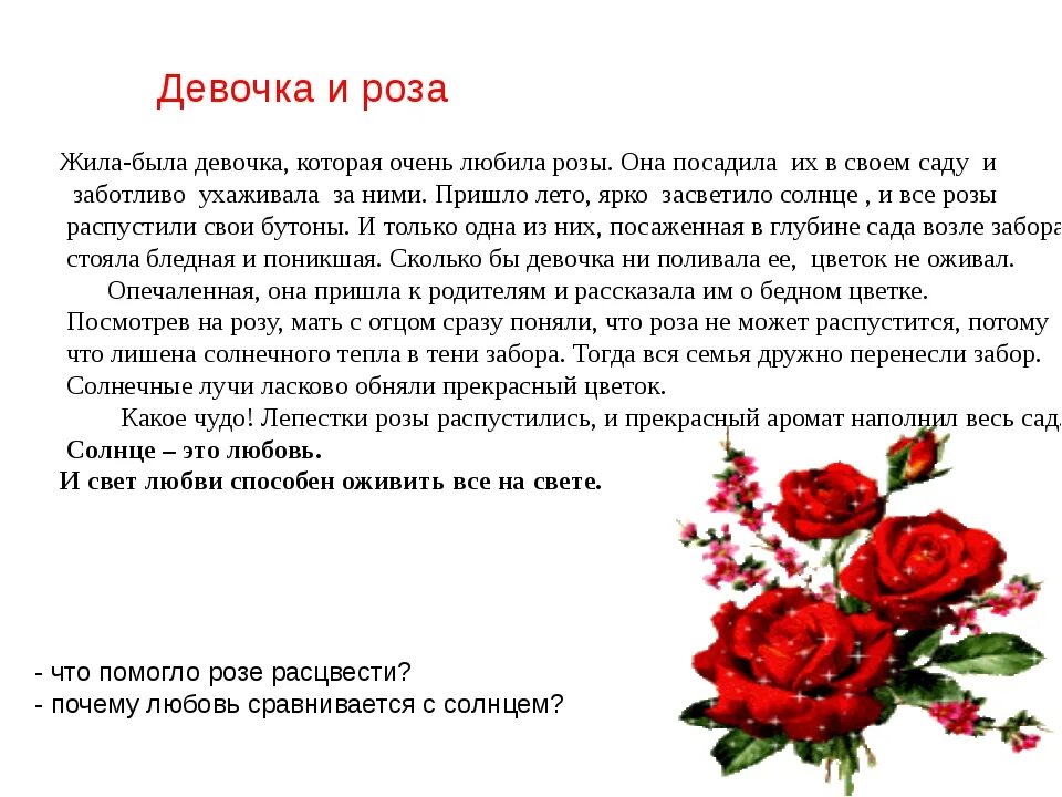 Сколько роз в россии. История про розу, жила была. Сколько живут розы.