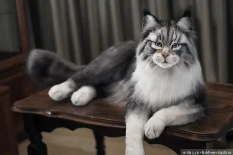 Кунов тюмень