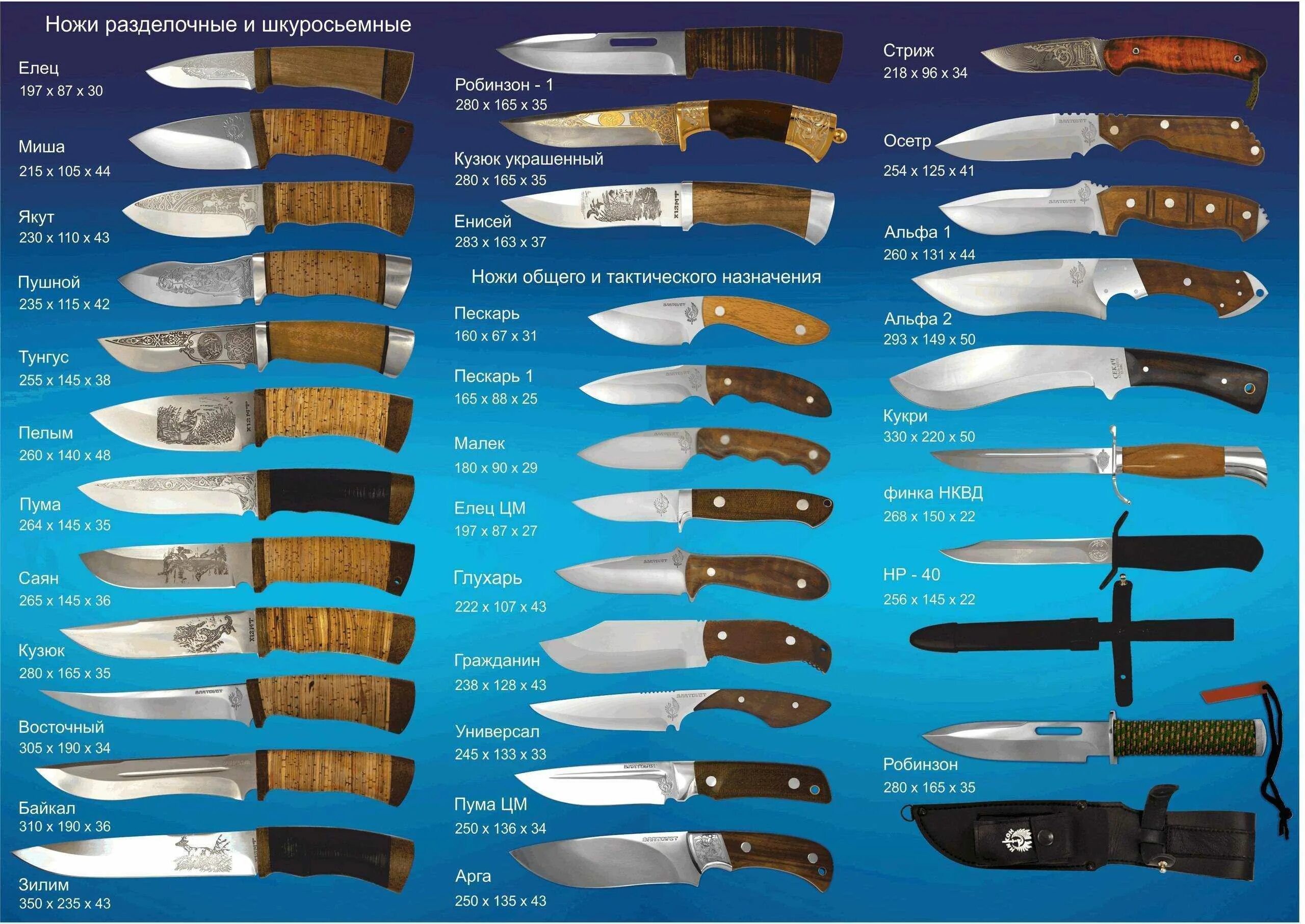 Ножи производителей стран. Виды ножей. Формы лезвий ножей. Ножи с названиями. Форма клинка для ножа.