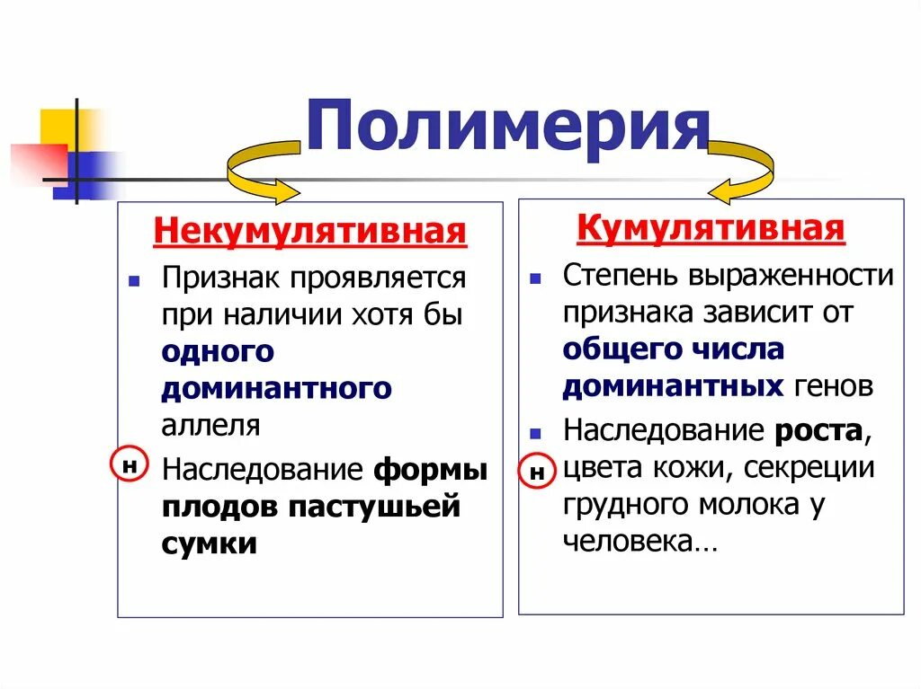 Виды полимерии
