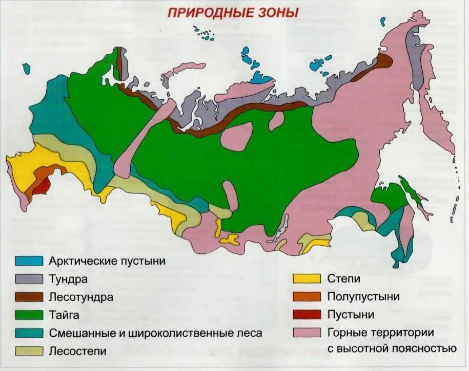 Природные зоны центра россии