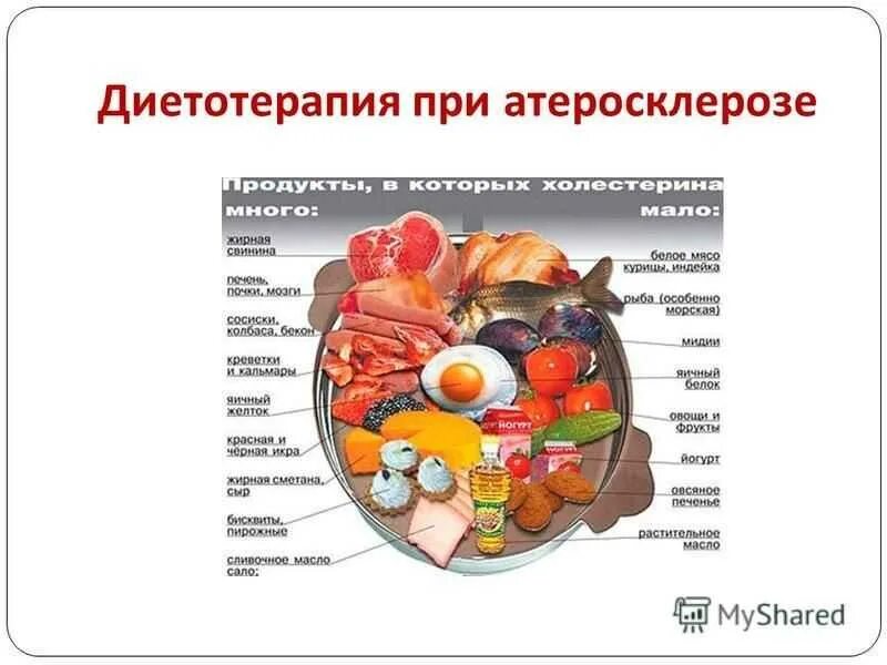 Питание по шишонину меню на неделю термодинамическое