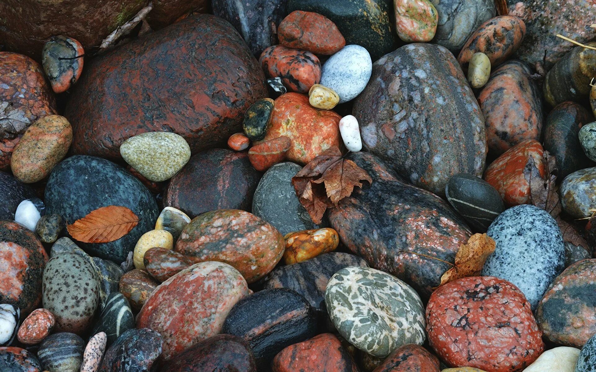Разнообразие камней. Разноцветные камни. Разноцветная галька. Морская галька. Разноцветные камешки.