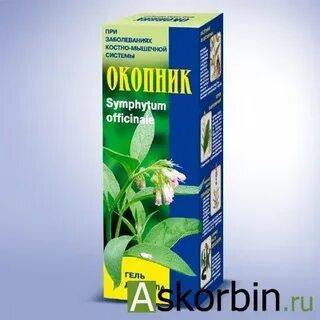 Окопник бубновского