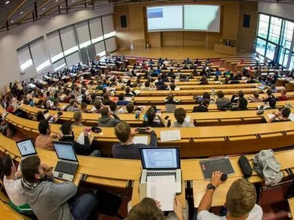 Строительство дорог университет