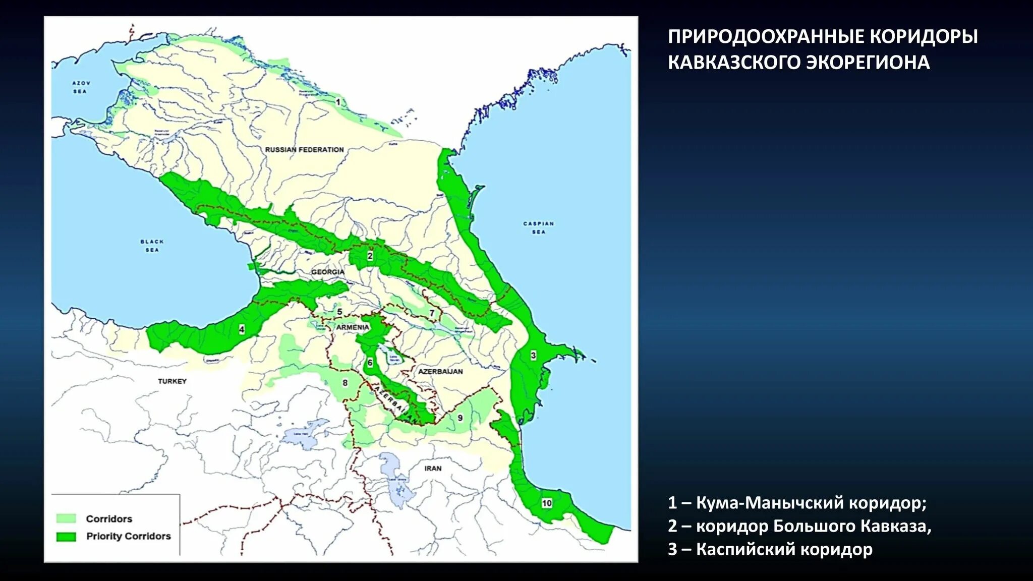 Caucasus parking уровни. Экорегион Кавказ на карте. Климат Кавказа. Леса Кавказа карта. Климат Закавказья.