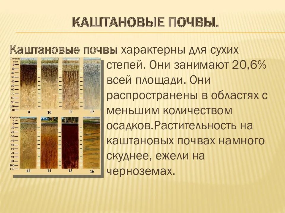 особенности природных зон египта. почвы египта. природные условия и ресурсы египта. растительность и почвы египта. особенности почвы египта.