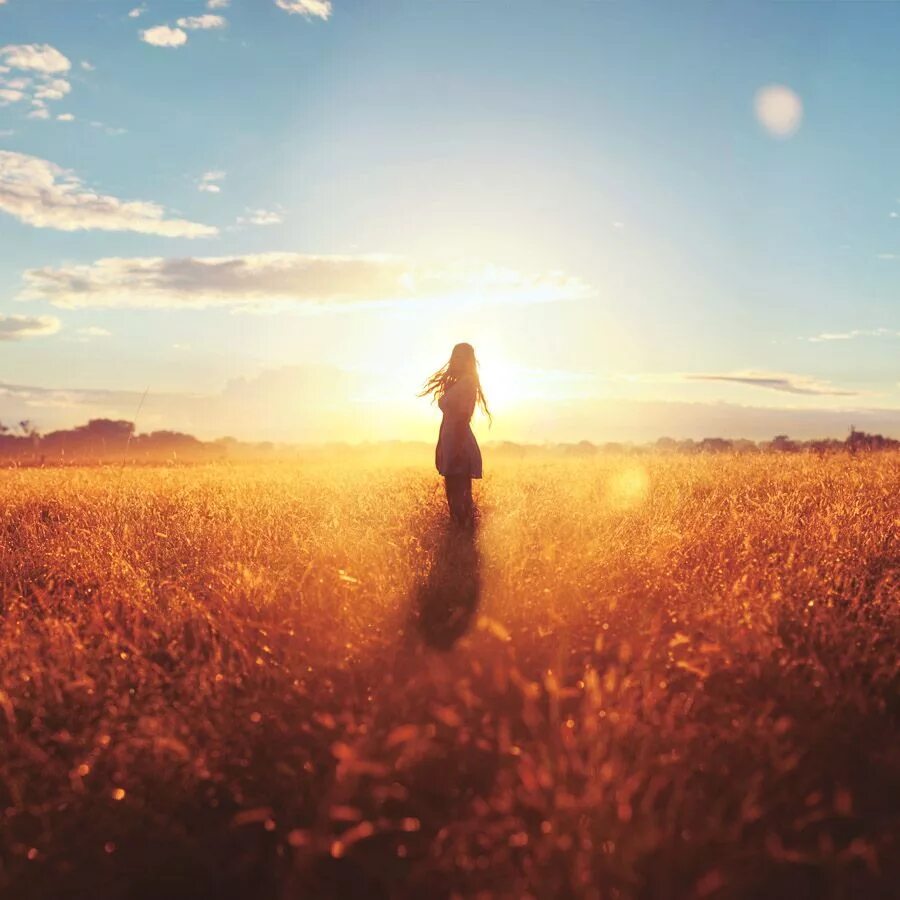 Look the sun shine. Девушка счастье. Радость жизни. Восход радости. Фотосессия в поле на закате.